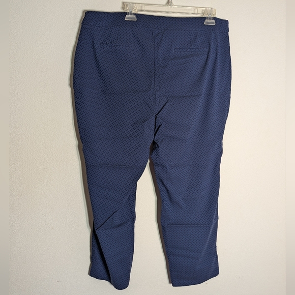 Cynthia Rowley Womens Capri Pants Elastic Waist High Rise Chevron Plus Size 18W - Picture 8 of 9